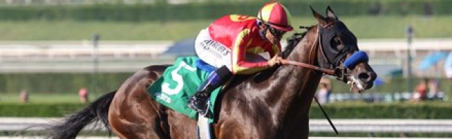 Kentucky Derby: 2018 Sham Stakes Horse Racing Picks
