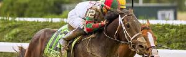 Withers Stakes Preview and Picks