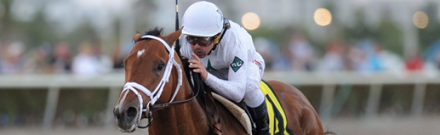 Florida Derby 2018 Odds, Predictions